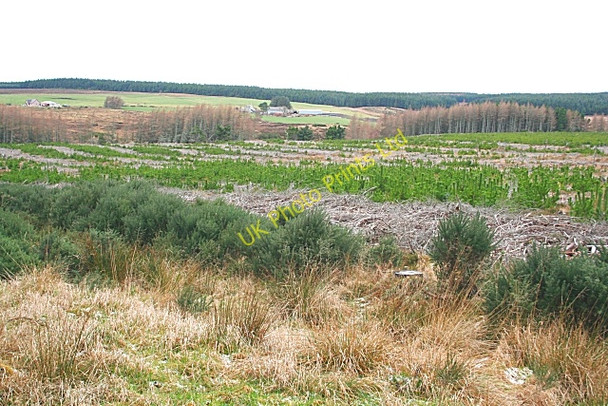 Photo 6"x4" Young Plantation Grange Crossroads c2007
