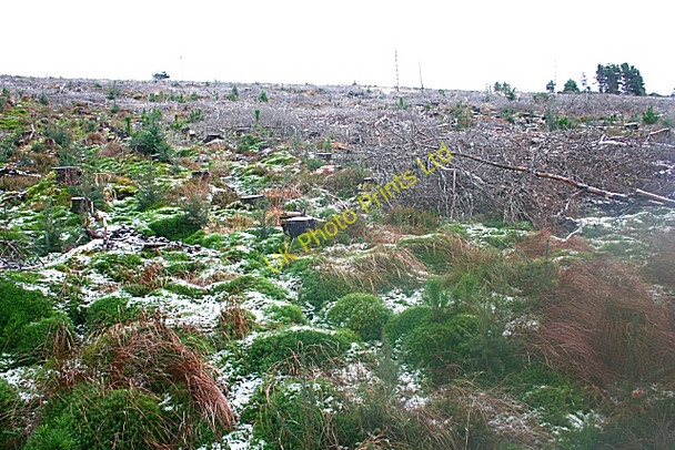 Photo 6"x4" Deerhill Moss Grange Crossroads c2007