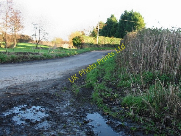Photo 6"x4" Lane leading into Ware from the W. Ware\/TR2760 c2007