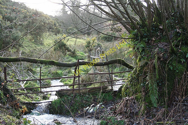 Photo 6"x4" Exton: stream south of Leigh Winsford\/SS9034 c2007