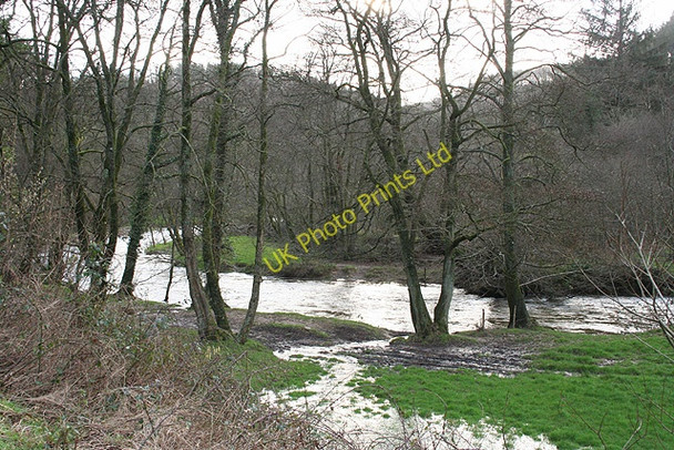 Photo 6"x4" Exton: the Exe near Higher Hone Bridgetown\/SS9233 c2007