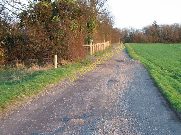 Photo 6"x4" Looking E towards Nine Acre wood on farm track. Tilmanstone c2007