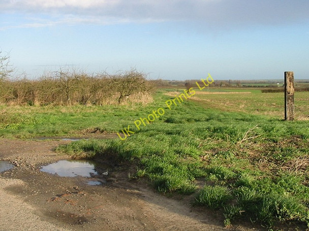 Photo 6"x4" Orchard, farmland and bridleway to right. Hoaden c2007
