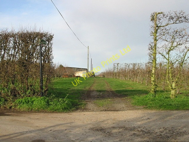 Photo 6"x4" View of orchards and footpath to Preston Road. Perry\/TR2559 c2007