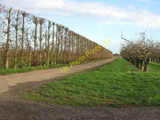 Photo 6"x4" Bridleway running NE from Perry Lane. Perry\/TR2559 c2007