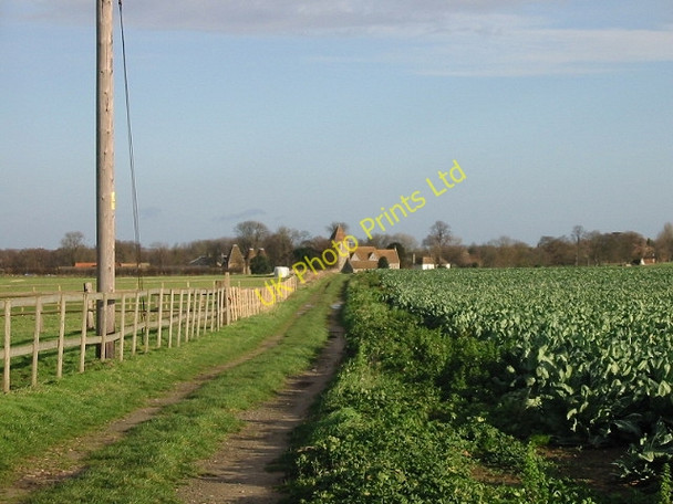 Photo 6"x4" View of cauliflower field and footpath to Preston from Deerson Lane. Broomhill\/TR2458 c2007