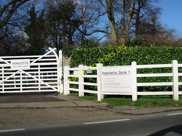 Photo 6"x4" Entrance to Howletts zoo park, Bekesbourne Lane. Bekesbourne c2007