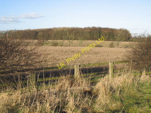 Photo 6"x4" Fields and woods Baldersby c2007