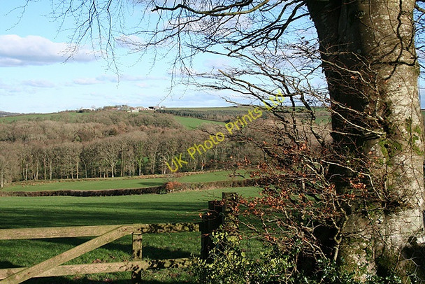 Photo 6"x4" Chulmleigh: near Egilford Cross Cheldon c2007