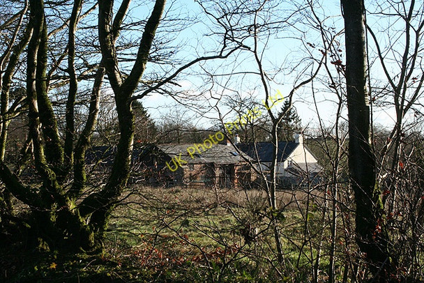 Photo 6"x4" Meshaw: East Whitestone Ash Moor c2007