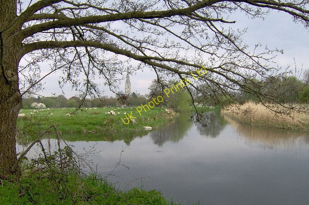 Photo 6"x4" River Nadder at Salisbury Salisbury c2006