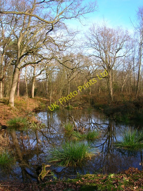 Photo 6"x4" Moat, Moat Wood Park Corner\/TQ5114 c2007