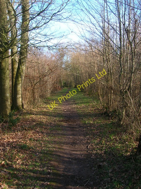Photo 6"x4" Footpath, Moat Wood Park Corner\/TQ5114 c2007