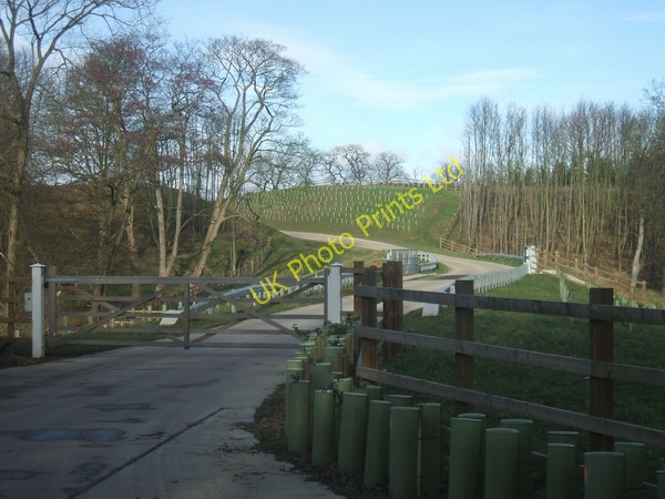 Photo 6"x4" New entrance to Thickbroom Farm Weeford c2007