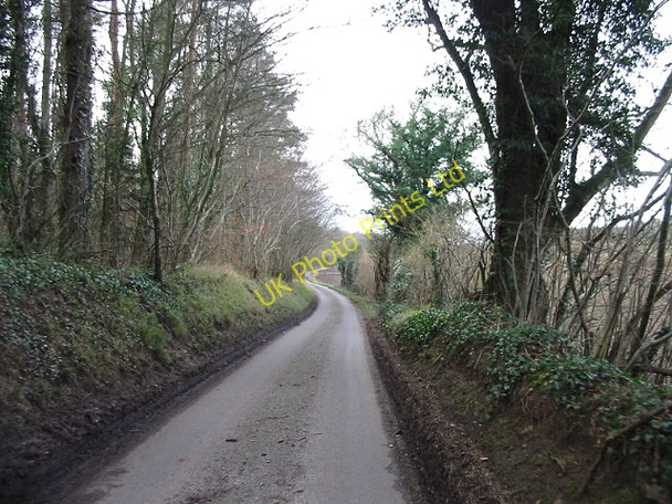 Photo 6"x4" Covet Lane near Kingston. Barham\/TR2050 c2007