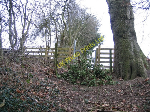 Photo 6"x4" Stile at Coed y Cra Flint\/Y Fflint c2007