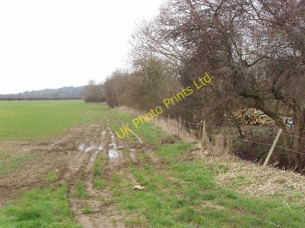 Photo 6"x4" Field at Horspath Cowley\/SP5504 c2007