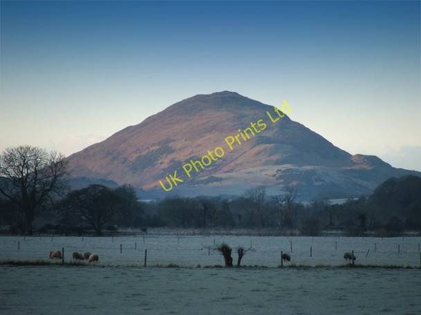 Photo 6"x4" Knockdolian Hill Heronsford c2005