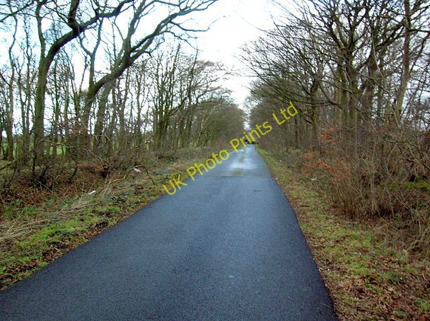 Photo 6"x4" Minor Road Near Crooks Dundonald\/NS3634 c2007