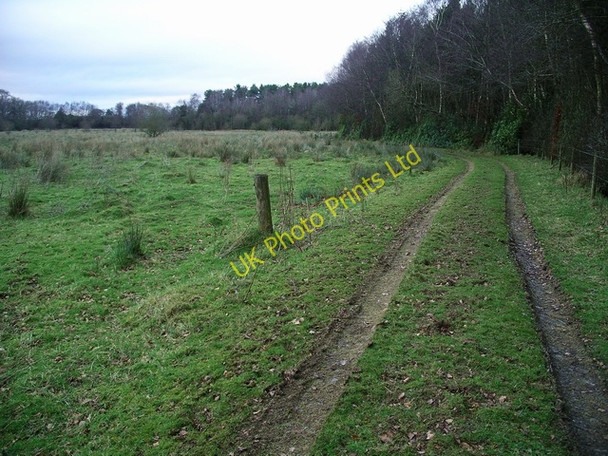Photo 6"x4" Track beside Kirkhirst Plantation Lochmaben c2007