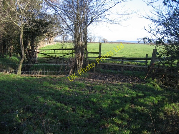Photo 6"x4" Stile near Lea Newbold Farm Bruera c2007