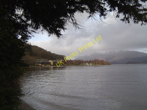 Photo 6"x4" Rhu Wood from Luss Pier Luss c2007