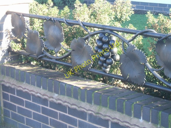 Photo 6"x4" Vine leaves Fordhouses c2007