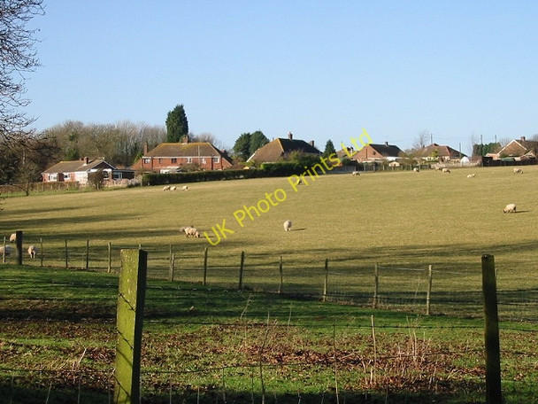 Photo 6"x4" Houses on Strakers Hill and sheep in field, from Stoneheap Lane Studdal c2007
