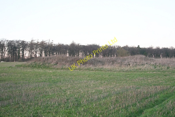 Photo 6"x4" Long Barrow near Westwood Farm Tunley\/SO9304 c2007