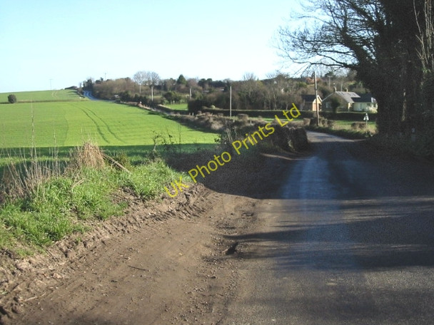 Photo 6"x4" Looking NE along Willow Road Great Mongeham c2007