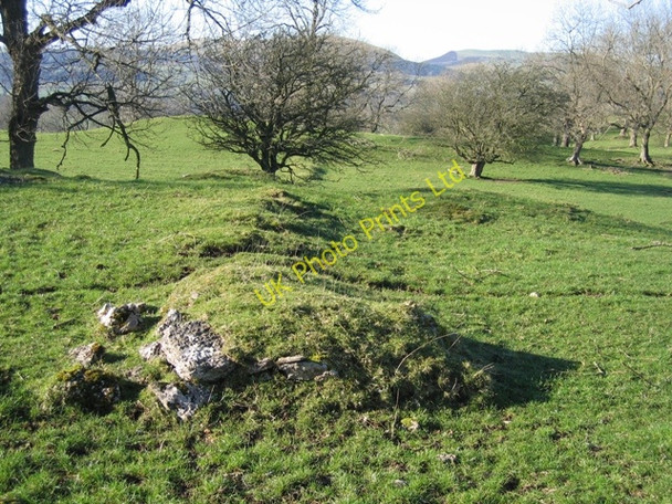 Photo 6"x4" Ruined Wall above Bodidris Hall Gwernol c2007