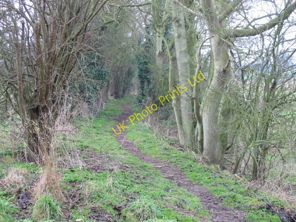Photo 6"x4" Looking SW along bridleway to Ileden Farm Ileden c2007