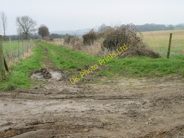 Photo 6"x4" Looking NE along bridleway Derringstone c2007