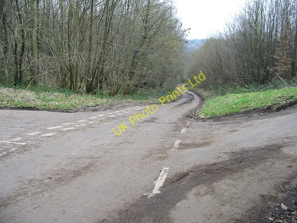 Photo 6"x4" Crossroads in the woods Westwood\/TR1749 c2007