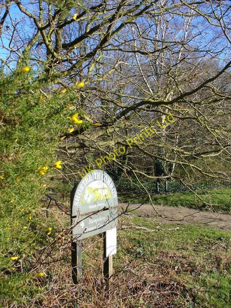 Photo 6"x4" Shortheath Common, Oakhanger Bordon c2007