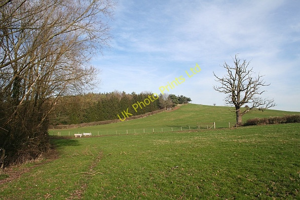 Photo 6"x4" The Gorse Church End\/SO8341 c2007