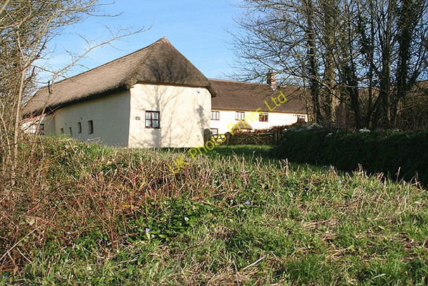 Photo 6"x4" Broadwoodkelly: Corstone Farm Broadwoodkelly c2007