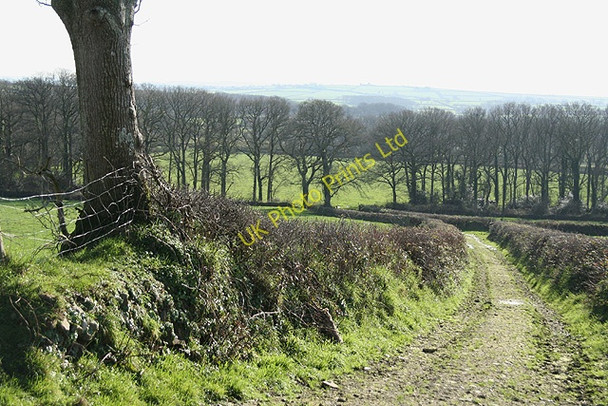 Photo 6"x4" Broadwoodkelly: towards Lower Moor Broadwoodkelly c2007