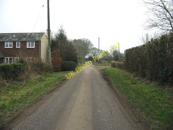 Photo 6"x4" Looking SE along Gate Lane Rhodes Minnis c2007