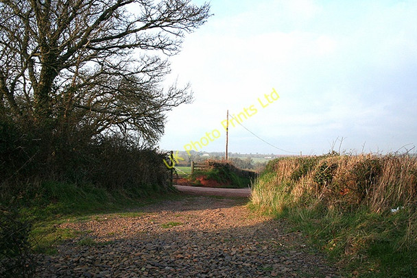 Photo 6"x4" Colebrooke: the Two Moors Way Nymet Tracey c2007