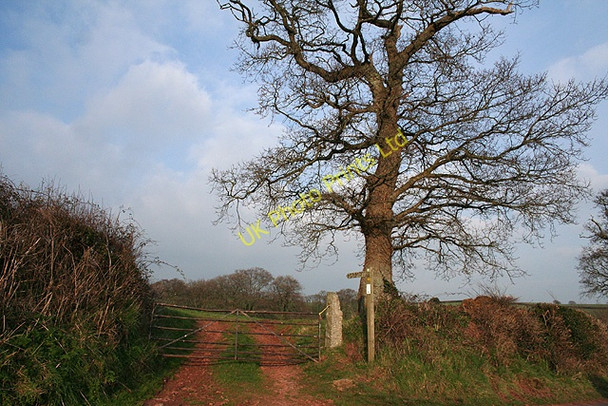 Photo 6"x4" Colebrooke: the Two Moors Way Colebrooke\/SS7700 c2007