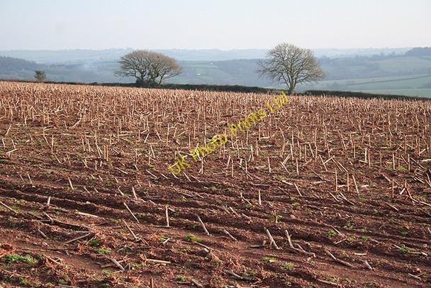 Photo 6"x4" Clannaborough: south east from Bow Nymet Tracey c2007
