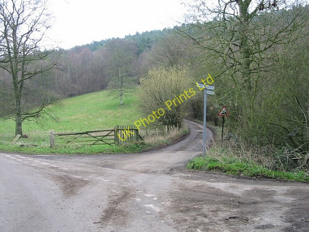 Photo 6"x4" Steep road into Covert Wood Bladbean c2007