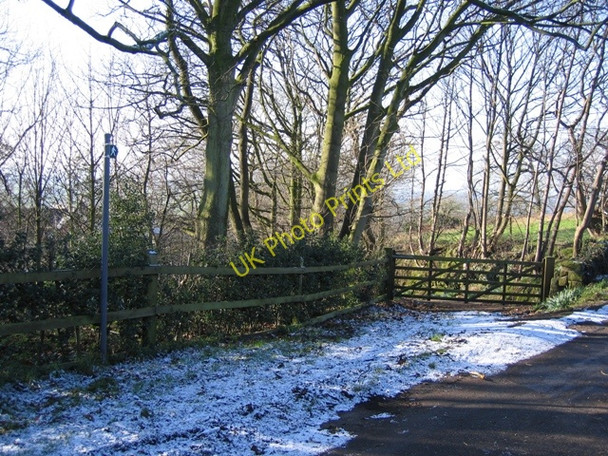 Photo 6"x4" Footpath and Gate Entrance Alvanley c2007