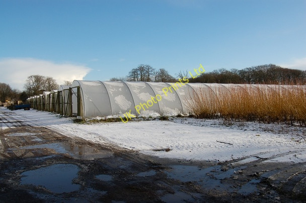 Photo 6"x4" Tillycorthie Nursery Udny Station c2007