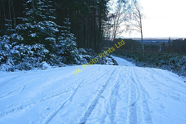 Photo 6"x4" Forest Road Fochabers c2007