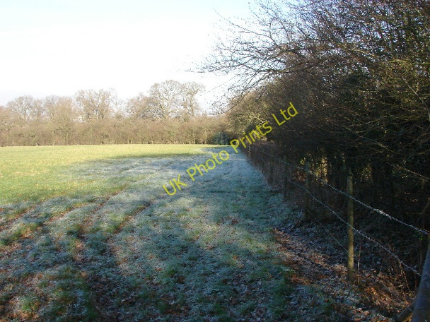 Photo 6"x4" Frosted field on Hinksey Hill Bayworth c2007