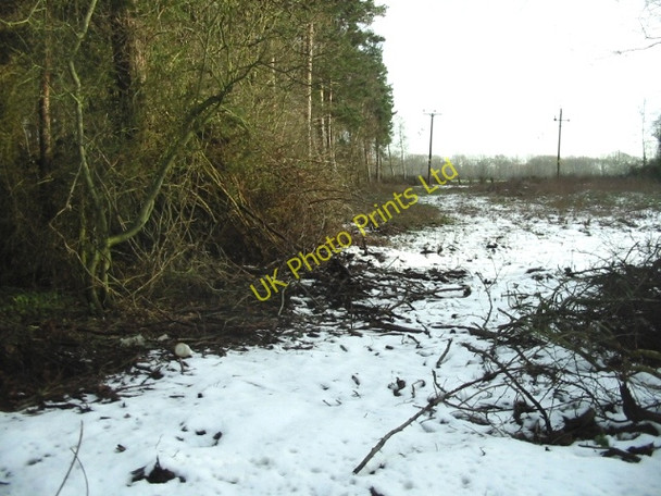 Photo 6"x4" View from Swanton Lane, looking SE towards Pine Wood Fordwich c2007