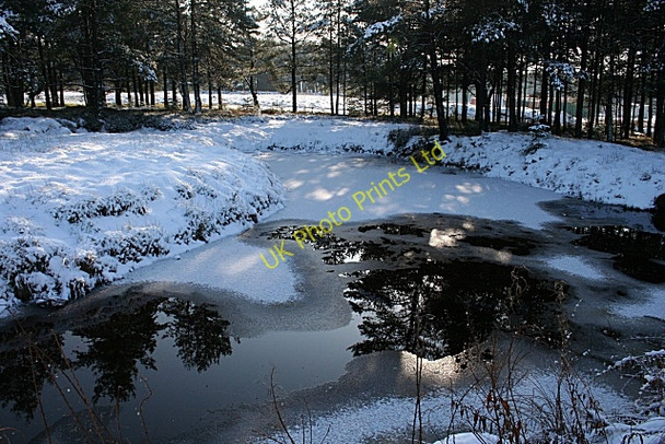 Photo 6"x4" Frosty Pond Mulben c2007