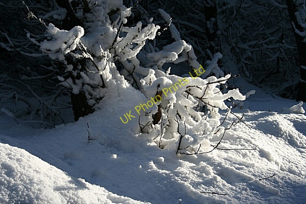 Photo 6"x4" Snow Sculpture Mulben c2007 P2